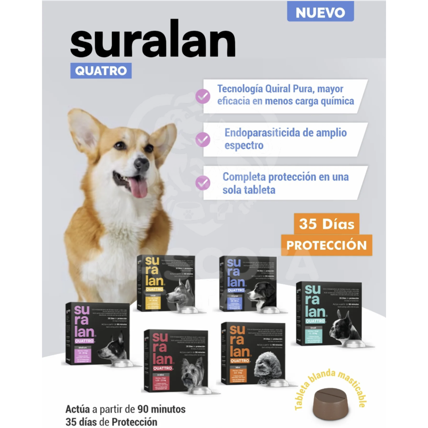 Suralan® Quattro | Tableta Antiparasitaria Interna y Externa de Múltiple Acción para Perros