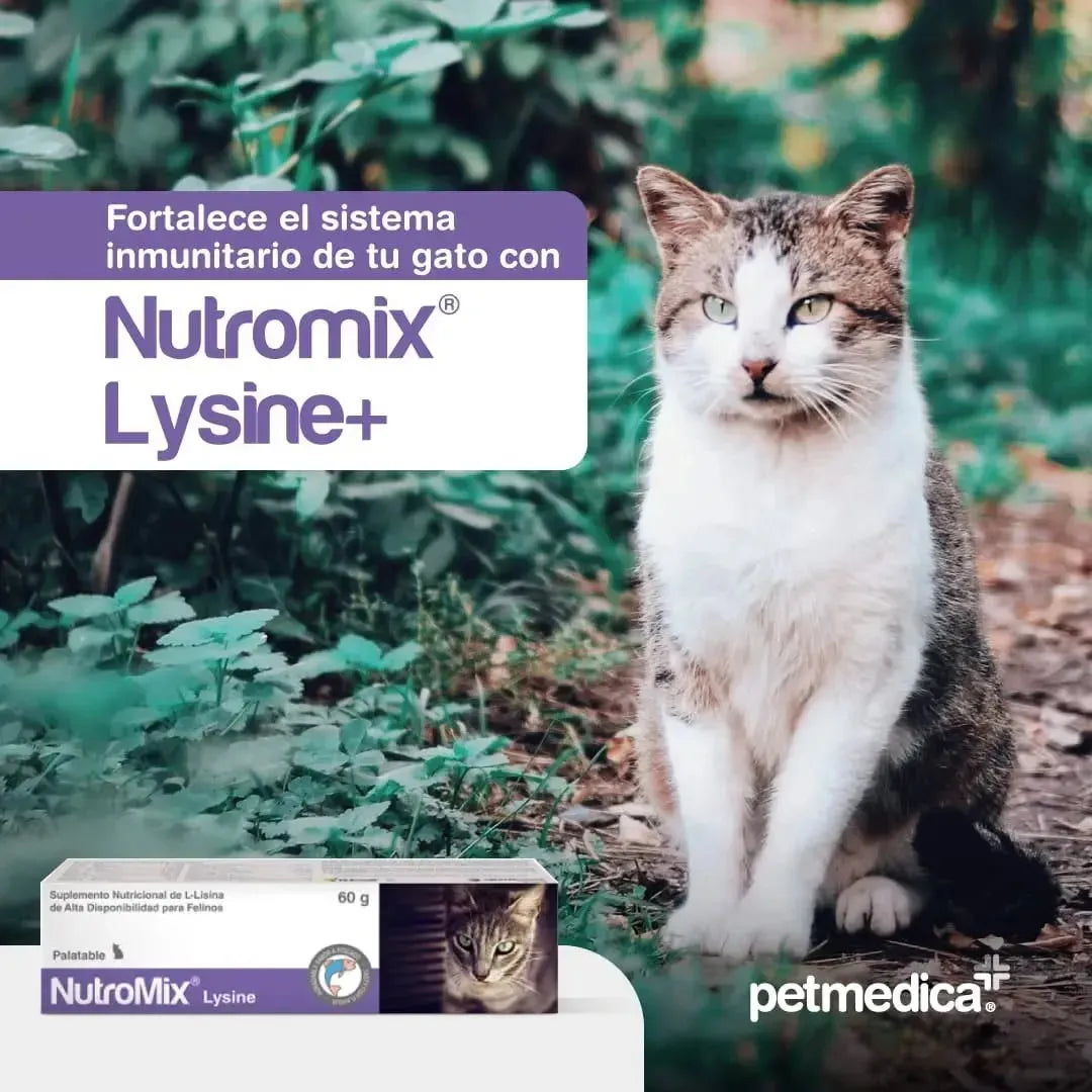 Nutromix® Lysine+ | Pasta Oral con L-Lisina para Gatos