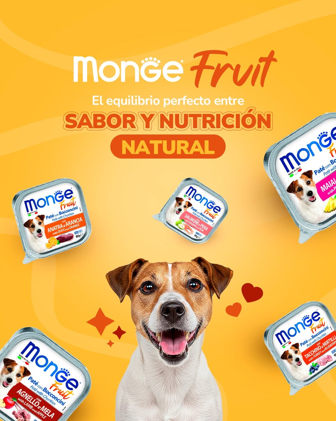 Monge Fruit Cordero y Manzana | Alimento Húmedo Superpremium para Perros (Alutray 100 g)