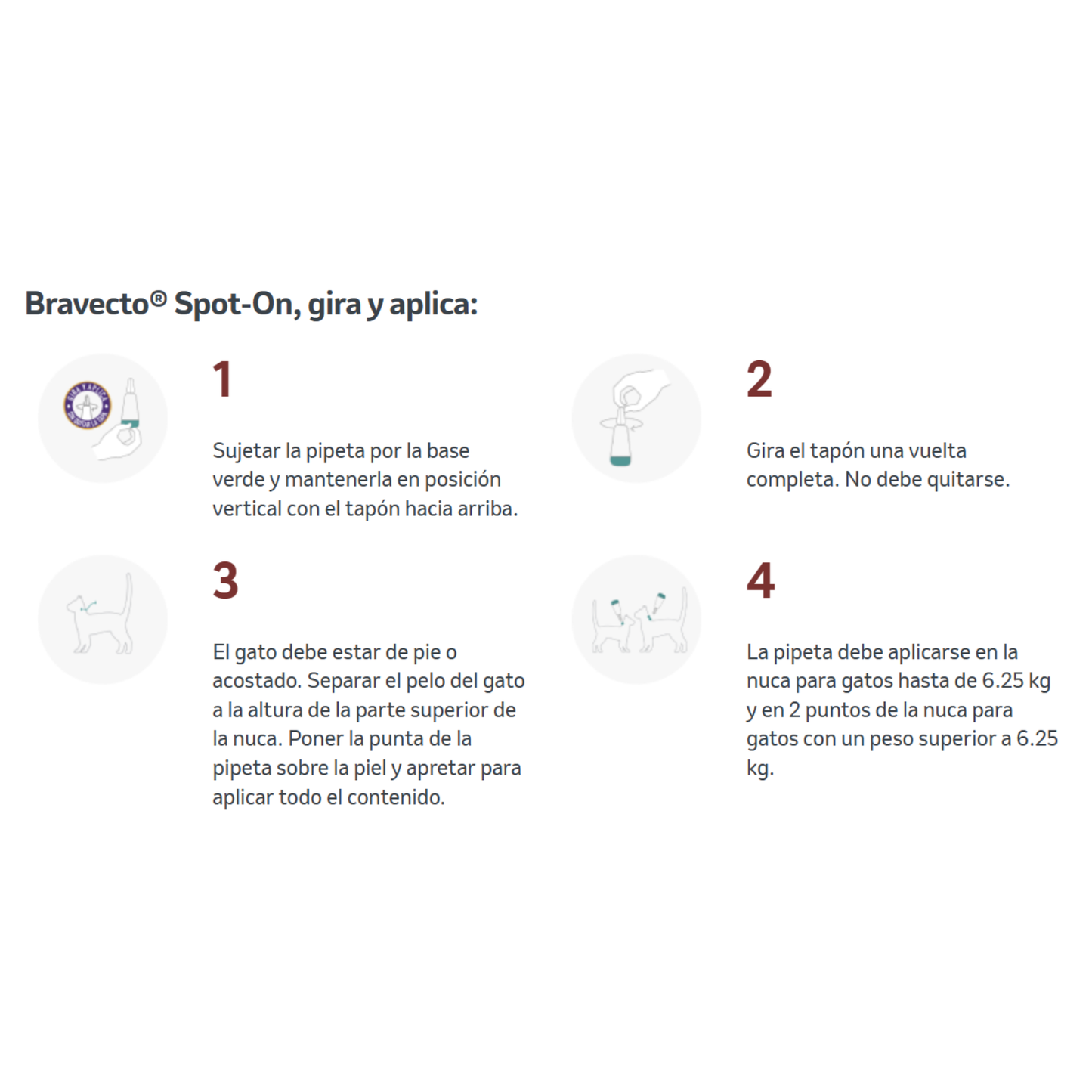 Bravecto® Plus | Pipeta Spot-On con Protección 5 en 1, hasta 12 Semanas