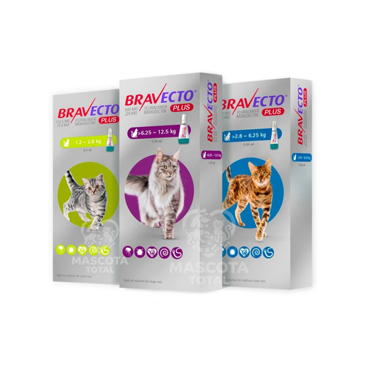 Bravecto® Plus | Pipeta Spot-On con Protección 5 en 1, hasta 12 Semanas