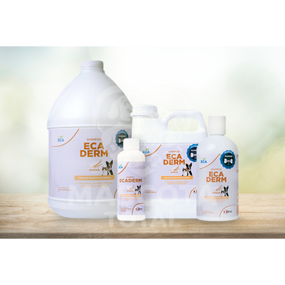 ECADERM® Shampoo Avena | Champú Medicado con Ácido Hipocloroso para Perros y Gatos