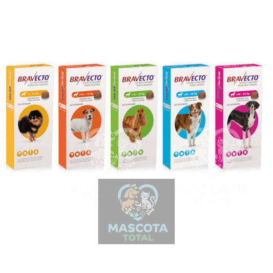 Bravecto® Tableta masticable | 3 Meses de Protección contra Pulgas, Garrapatas y Ácaros