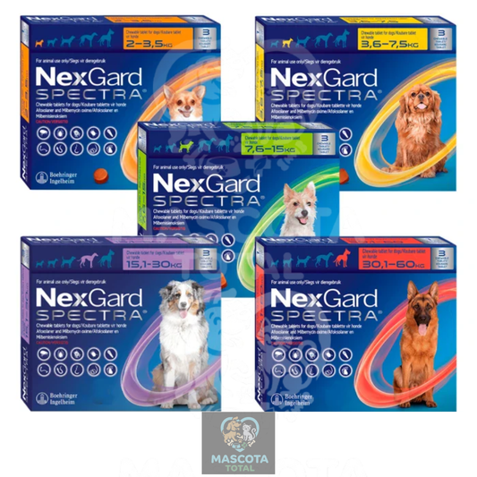 NexGard Spectra® | Tableta de Protección Mensual Contra Pulgas, Garrapatas y Parásitos Internos