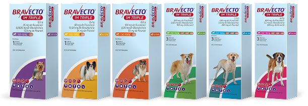 Bravecto® 1M Triple | Tableta de Protección Mensual Contra pulgas, garrapatas y parásitos internos.