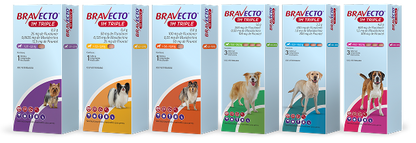 Bravecto® 1M Triple | Tableta de Protección Mensual Contra pulgas, garrapatas y parásitos internos.