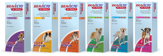 Bravecto® 1M Triple | Tableta de Protección Mensual Contra pulgas, garrapatas y parásitos internos.
