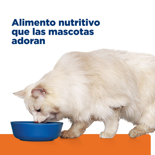 Hill's Prescription Diet c/d Multicare Stress® | Alimento Seco Urinario para Gatos