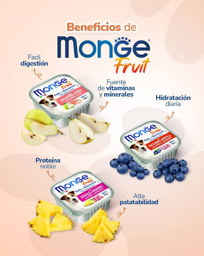 Monge Fruit Cordero y Manzana | Alimento Húmedo Superpremium para Perros (Alutray 100 g)