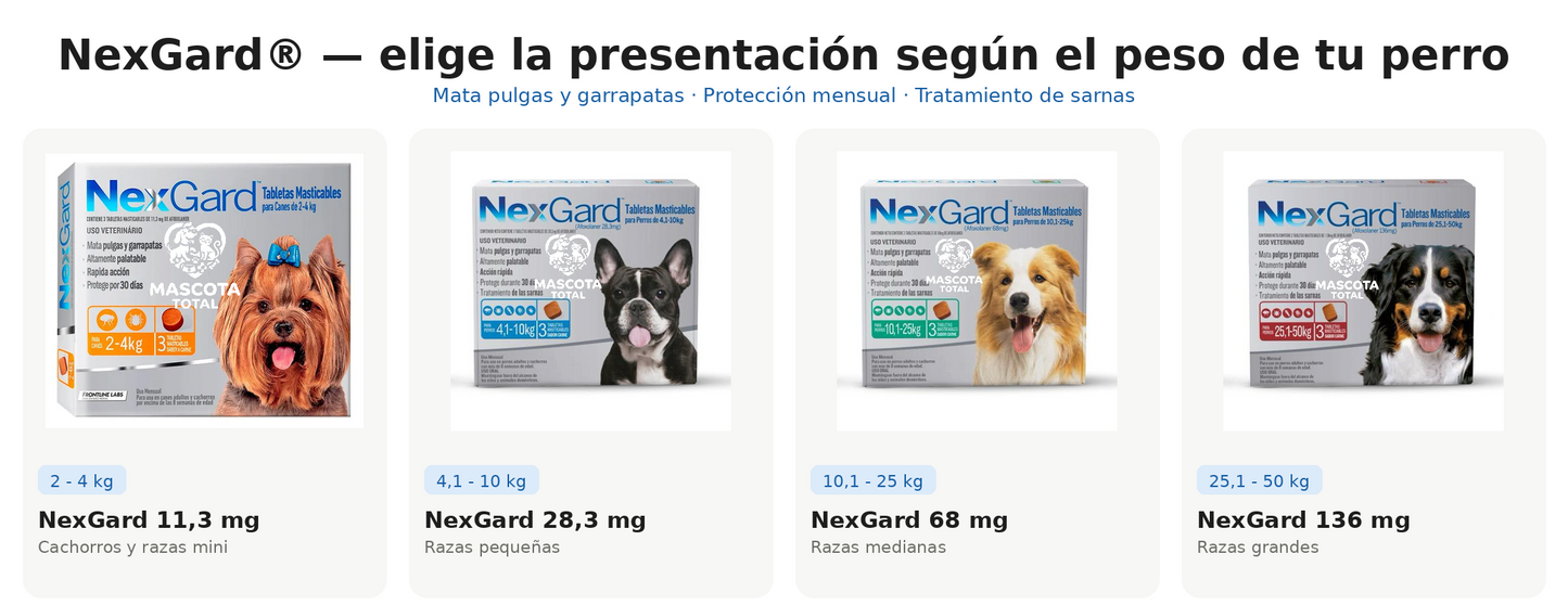 NexGard® Afoxolaner | Tableta Antipulgas y Garrapatas para Perros