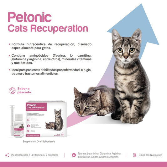 Petonic® Cats Recuperation | Suplemento Nutricional de Recuperación para Gatos
